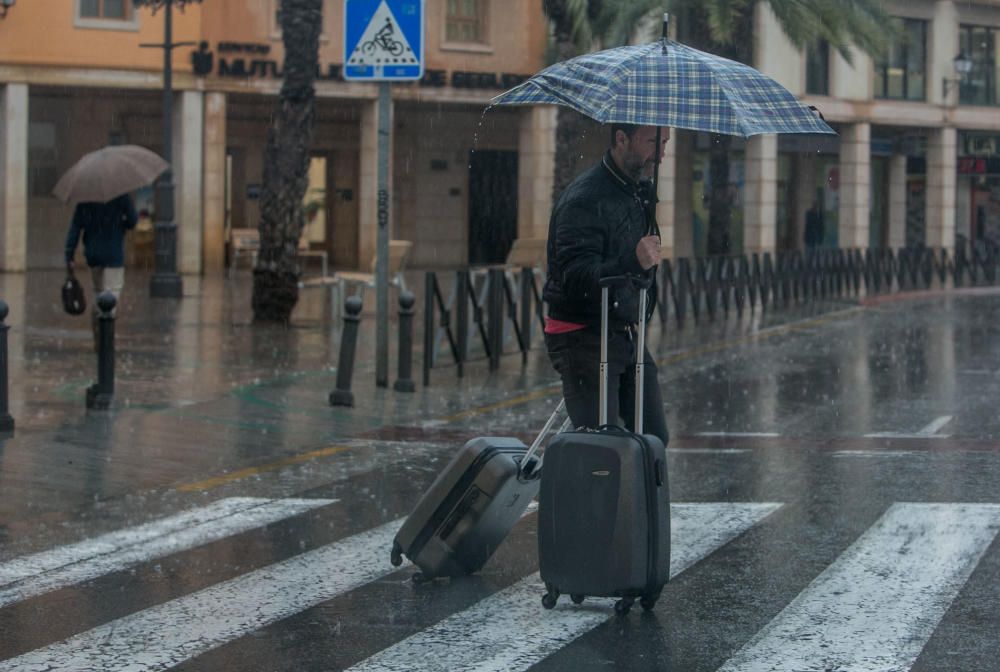 Nuevo temporal en Elche