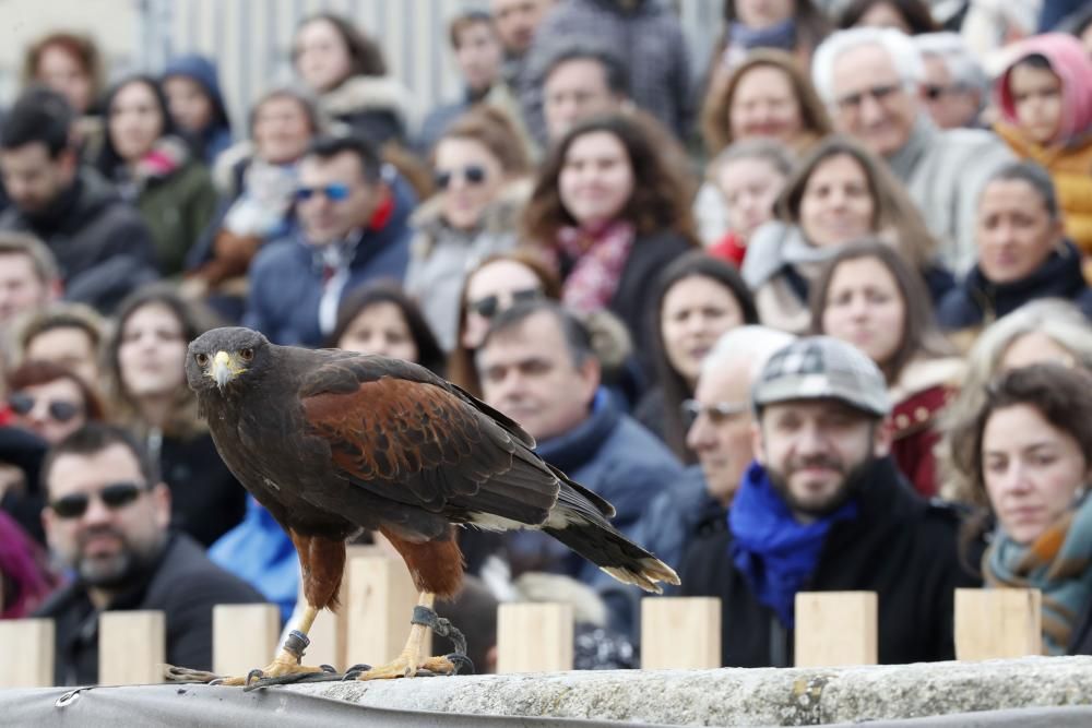 La tormenta de agua que se desató a media tarde obligo a cerrar de manera precipitada la celebración en Baiona y suspender la representación del hito histórico.