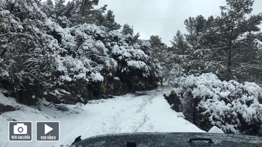 Como los niños en la nieve de la Serra