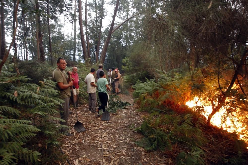 Arbo lucha contra el fuego