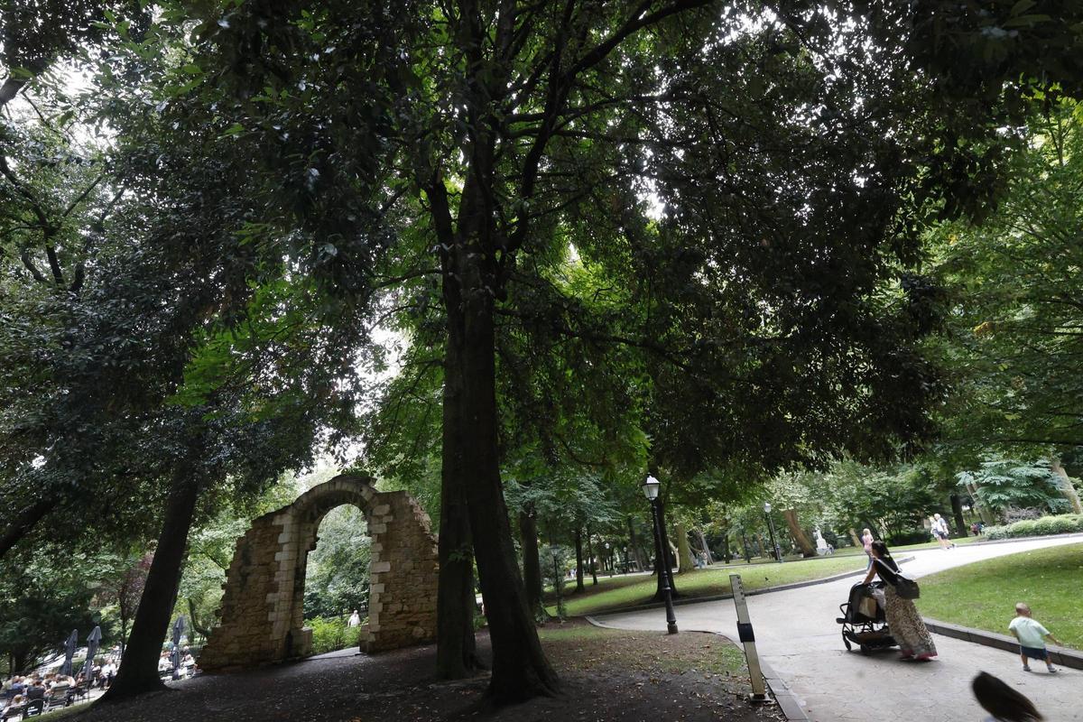 El Campo, un desconocido "Parque Jurásico" vegetal con especies arcaicas (alguna sobrevivió a los dinosaurios), en imágenes