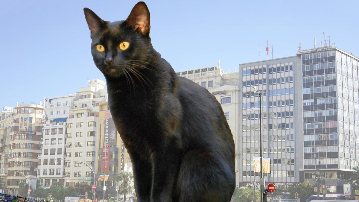 Boceto de la falla municipal del gato negro