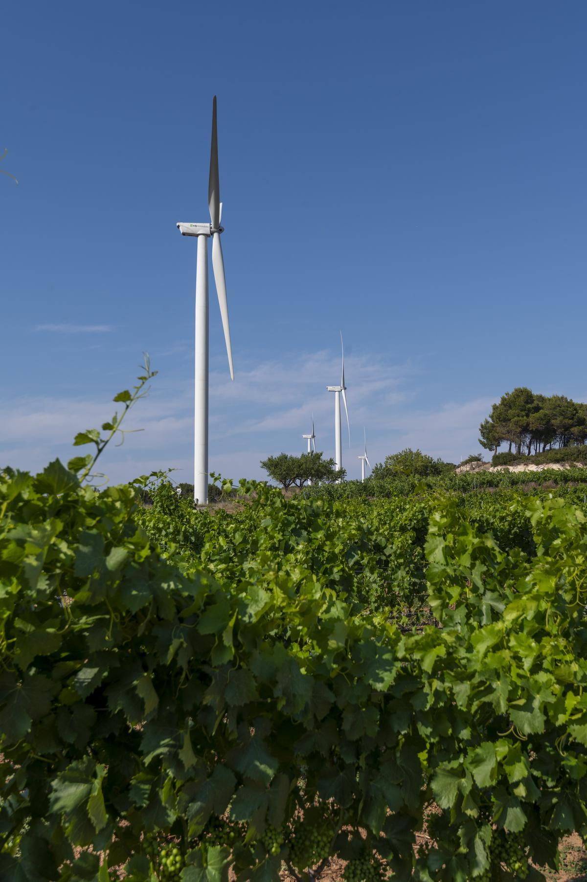 Aerogeneradores del parque eólico de Vilalba dels Arcs, Terra Alta.