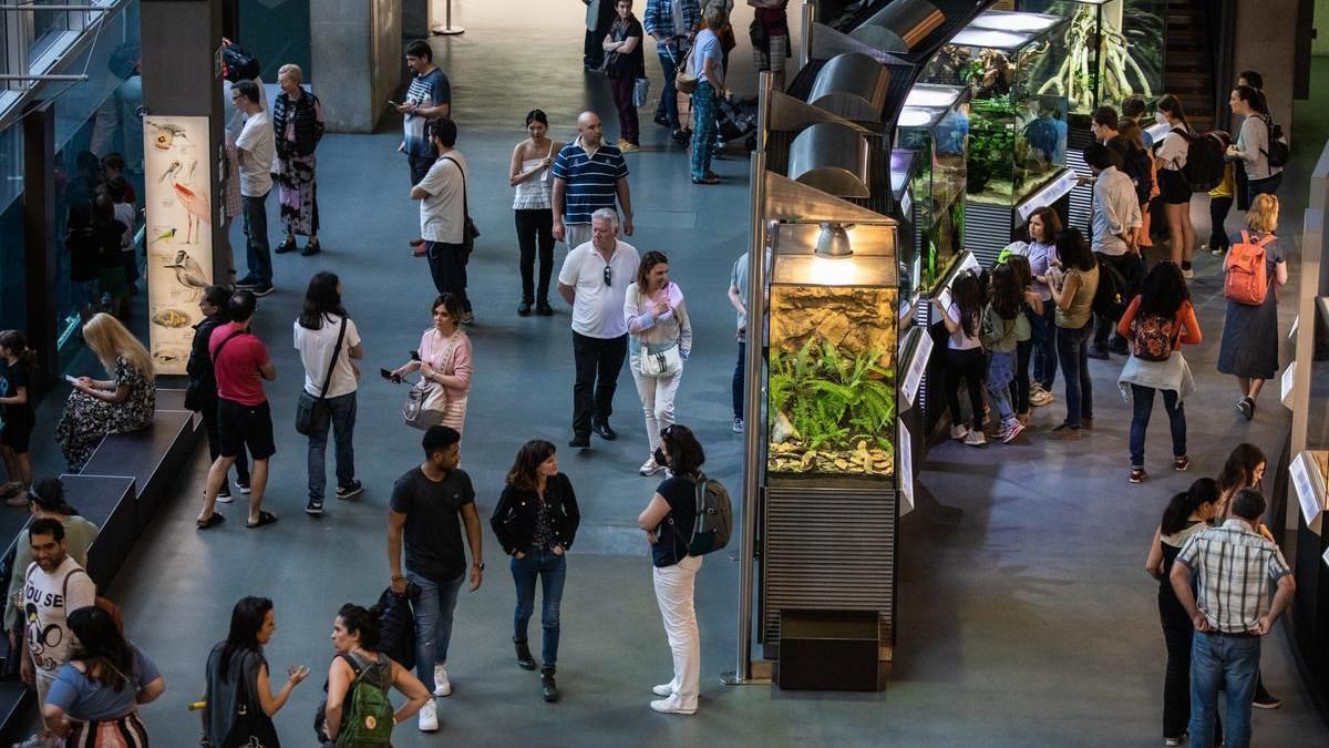 Nit dels Museus 2022 al Cosmocaixa de Barcelona