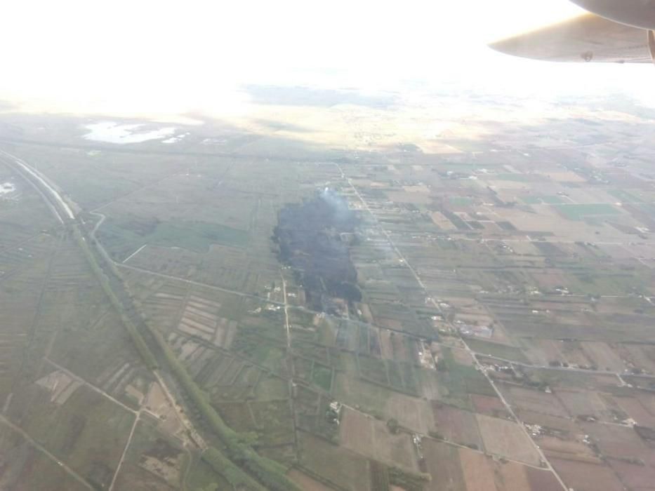 Waldbrand im Gebiet der s'Albufera