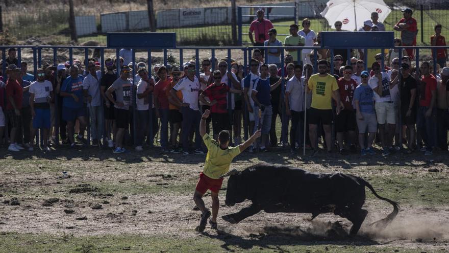 Encierro en Venialbo