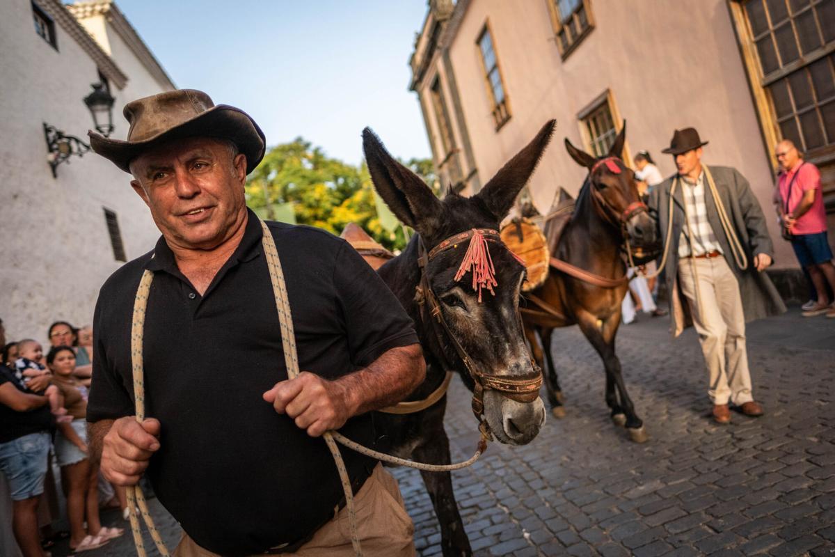 Noche de los Burros en La Laguna