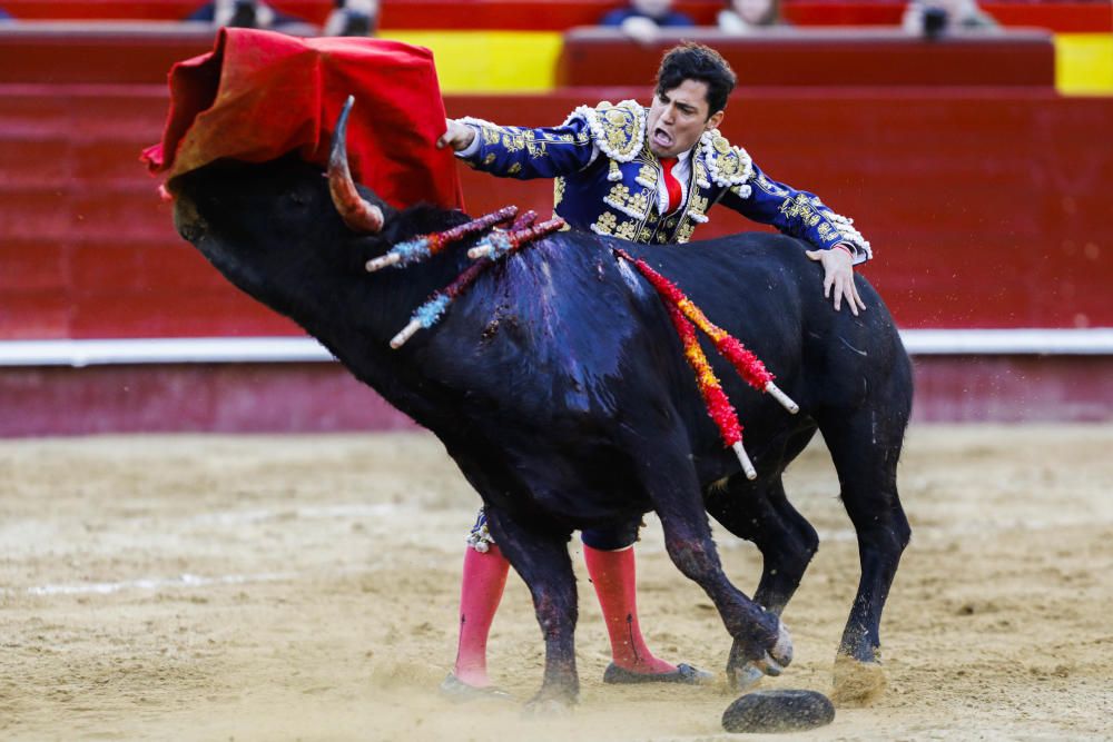 Novillada del día 12 de marzo