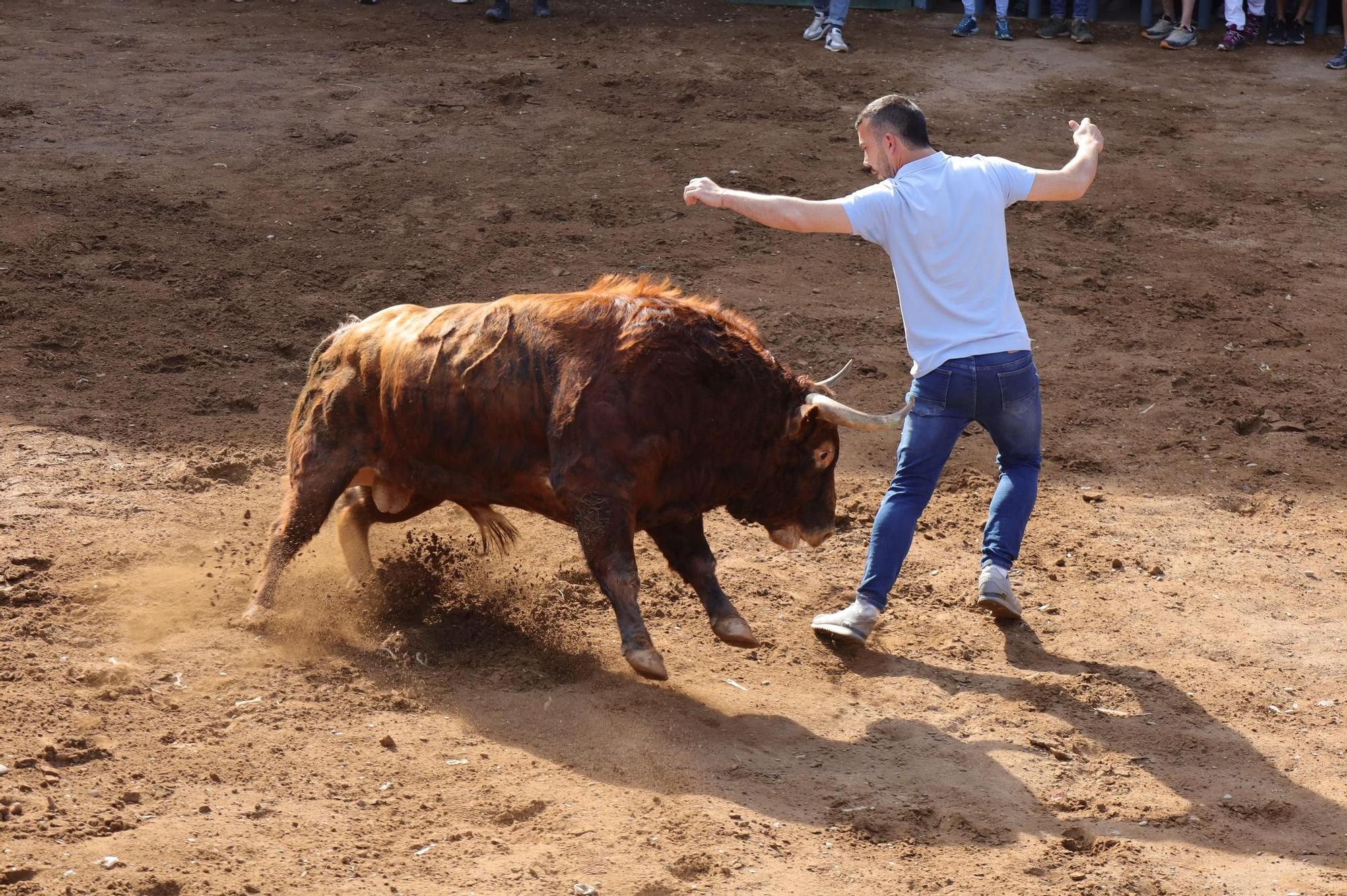 Los mejores momentos de la tarde taurina del martes de fiestas en Almassora