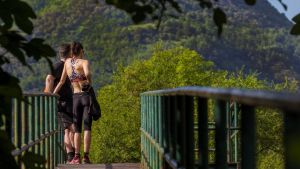 GRAF3825. PROAZA (ASTURIAS), 31/05/2020.- Una pareja observa el vallado de la pequeña osezna Villarina, que fue bautizada así en recuerdo del pueblo donde fue rescatada, en la Senda del Oso, una vía verde que discurre por los concejos de Proaza, Teverga, Quirós y Santo Adriano, todos ellos en el Principado de Asturias. FOTOTECAEFE. FDV. FOTO DE RECURSO. NATURALEZA. AIRE LIBRE. SENDERISMO. SENDA. PASEO. EJERCICIO
