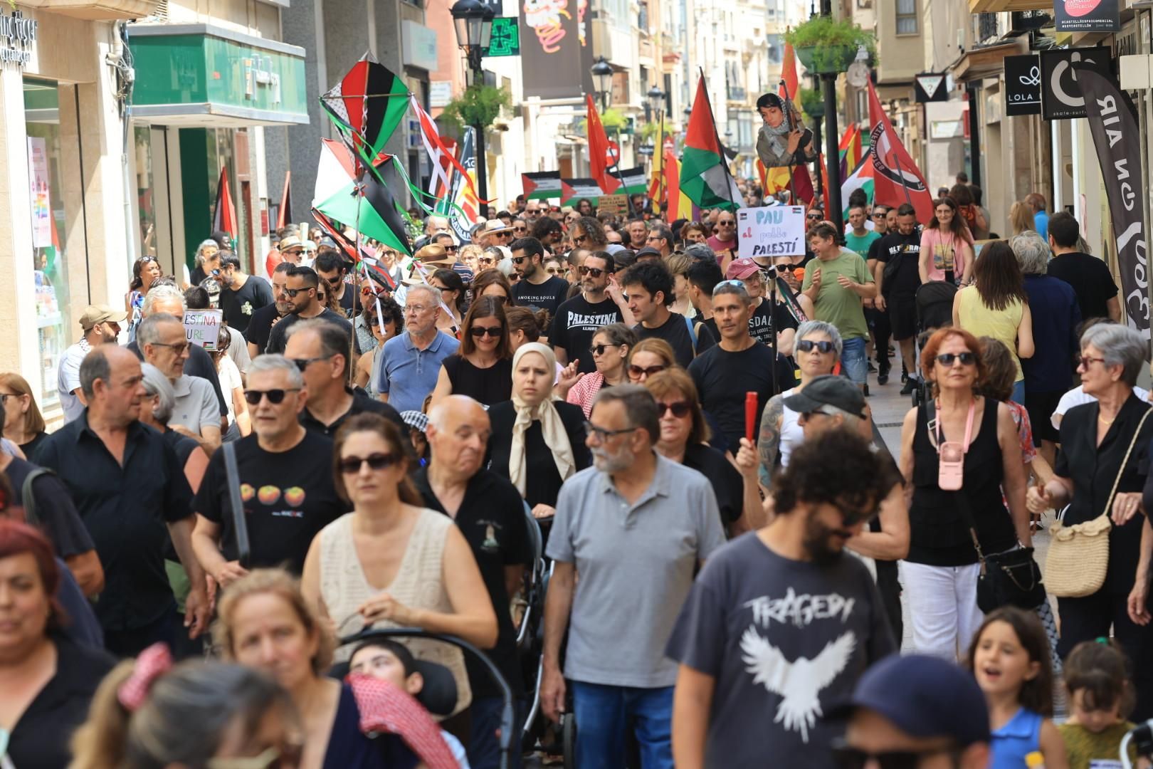 Manifestación a favor del pueblo palestino y la paz en Castellón