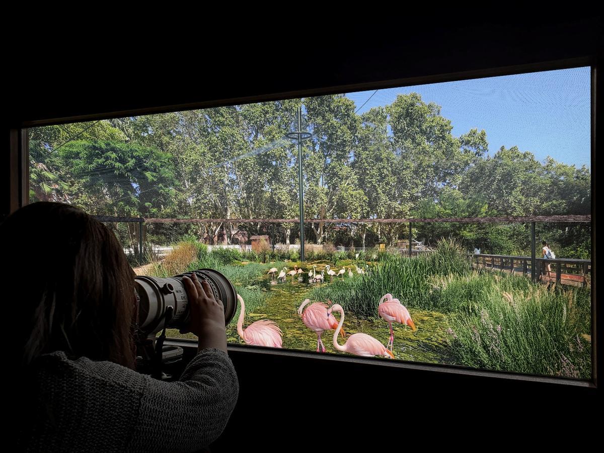 Recreación del nuevo espacio Aïllats del Zoo de Barcelona