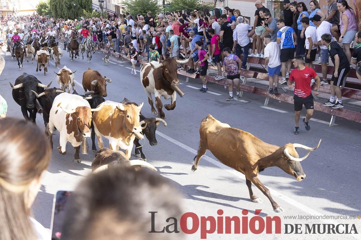 Quinto encierro de las Fiestas de Moratalla