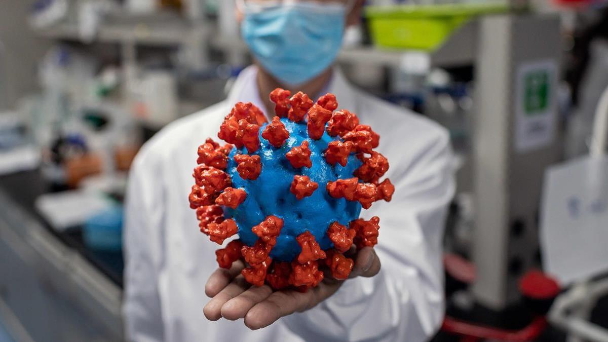 TOPSHOT - In this picture taken on April 29  2020  an engineer shows a plastic model of the COVID-19 coronavirus at the Quality Control Laboratory at the Sinovac Biotech facilities in Beijing  - Sinovac Biotech  which is conducting one of the four clinical trials that have been authorised in China  has claimed great progress in its research and promising results among monkeys  (Photo by NICOLAS ASFOURI   AFP)   TO GO WITH Health-virus-China-vaccine FOCUS by Patrick Baert