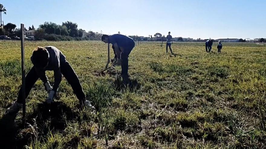 El Govern da carpetazo al proyecto de Son Bonet por el «rechazo social» generado