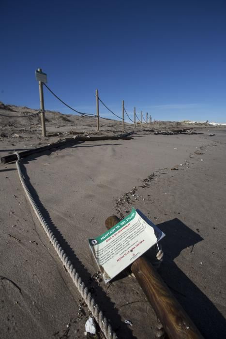 Desperfectos provocados por el temporal en l'' Albufera y el Saler