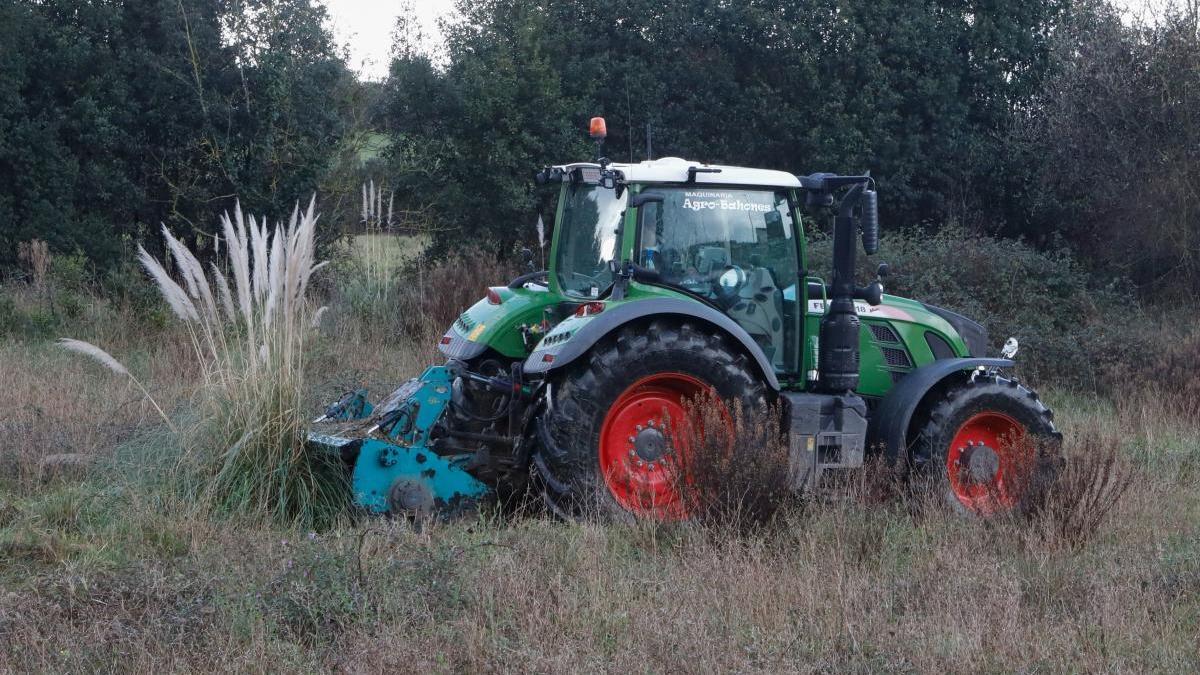 Labores de limpieza en una finca de Gijón.