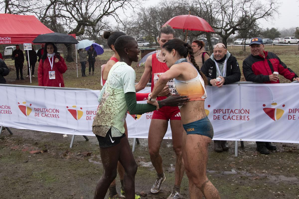 Fotogalería | Las imágenes del Gran Premio Cáceres de Campo a Través