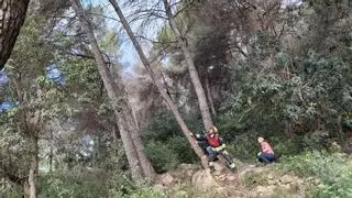 "Ahora estamos más seguros": los bomberos talan en sus días libres 53 pinos muertos y secos de un bosque pegado a Jesús Pobre