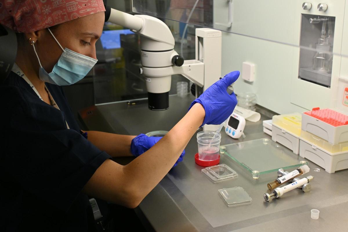 Métodos de fertilidad masculina