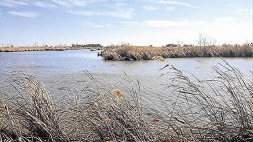 Vinaròs celebra el Dia dels aiguamolls  Conveni Ramsar