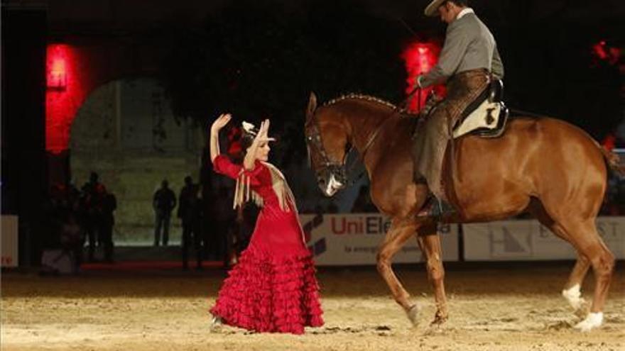 Cabalcor 2019: el caballo pura raza española a través del tiempo