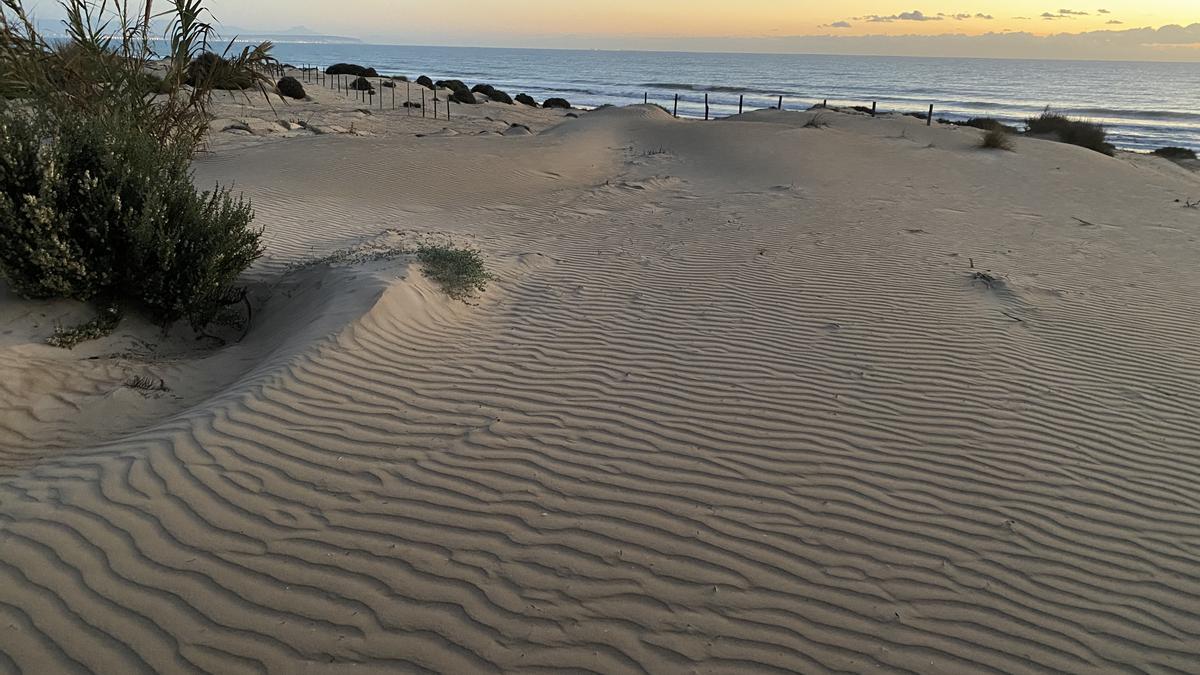 Playa de Guardamar del Segura.