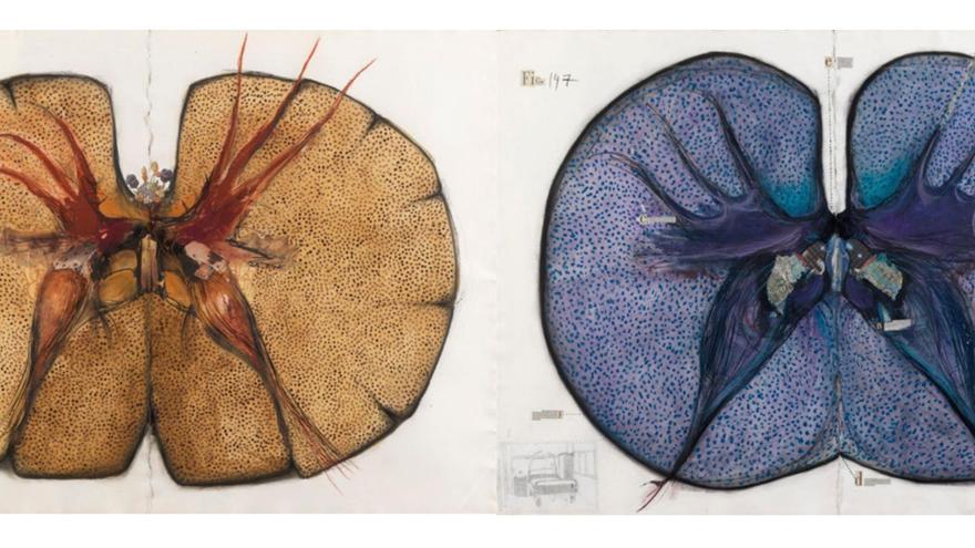 Ramón y Cajal: inspiración para el arte