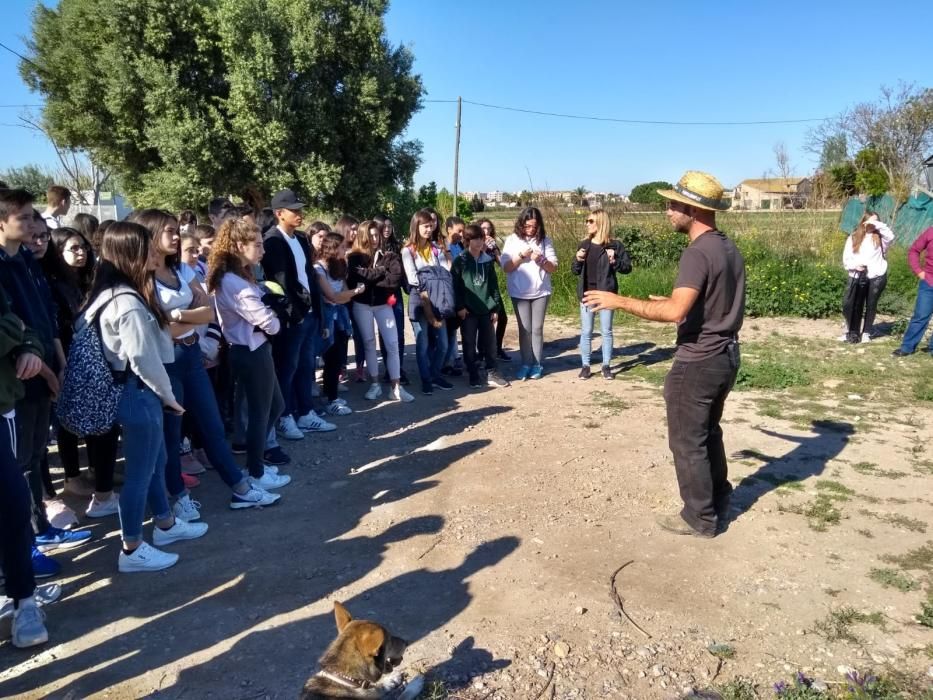 IV Marxa escolar per l'horta