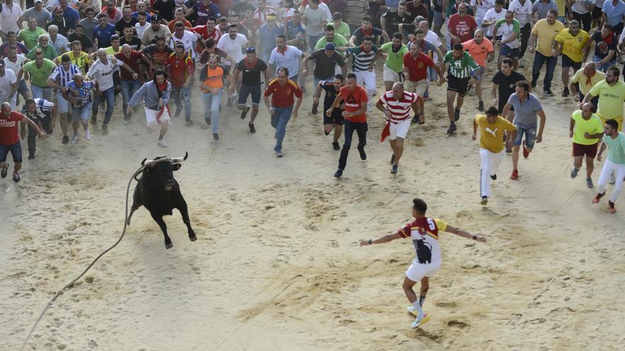 Preferido, el Toro del Alba, se cobra un herido grave por asta en Benavente