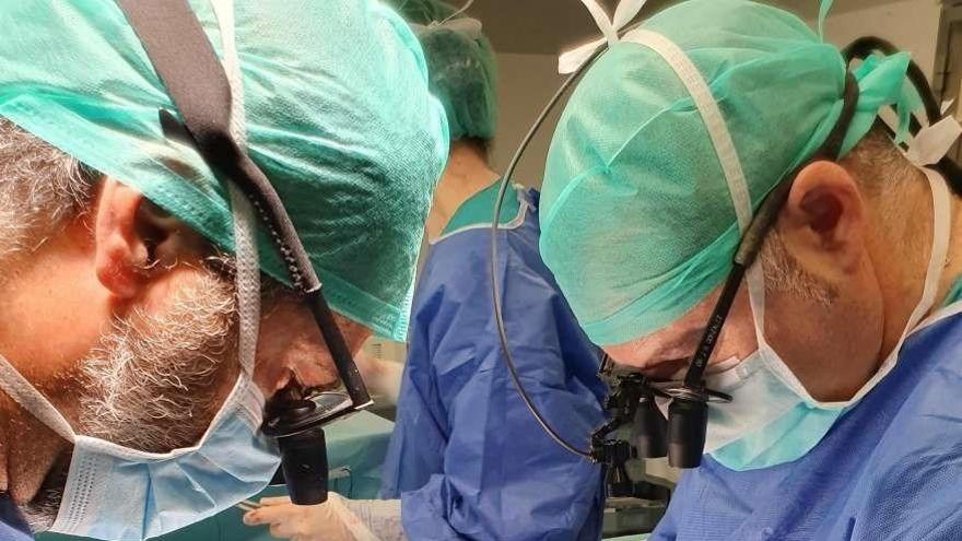 El Hospital Universitario de Badajoz realiza la primera extracción pulmonar de un donante en asistolia