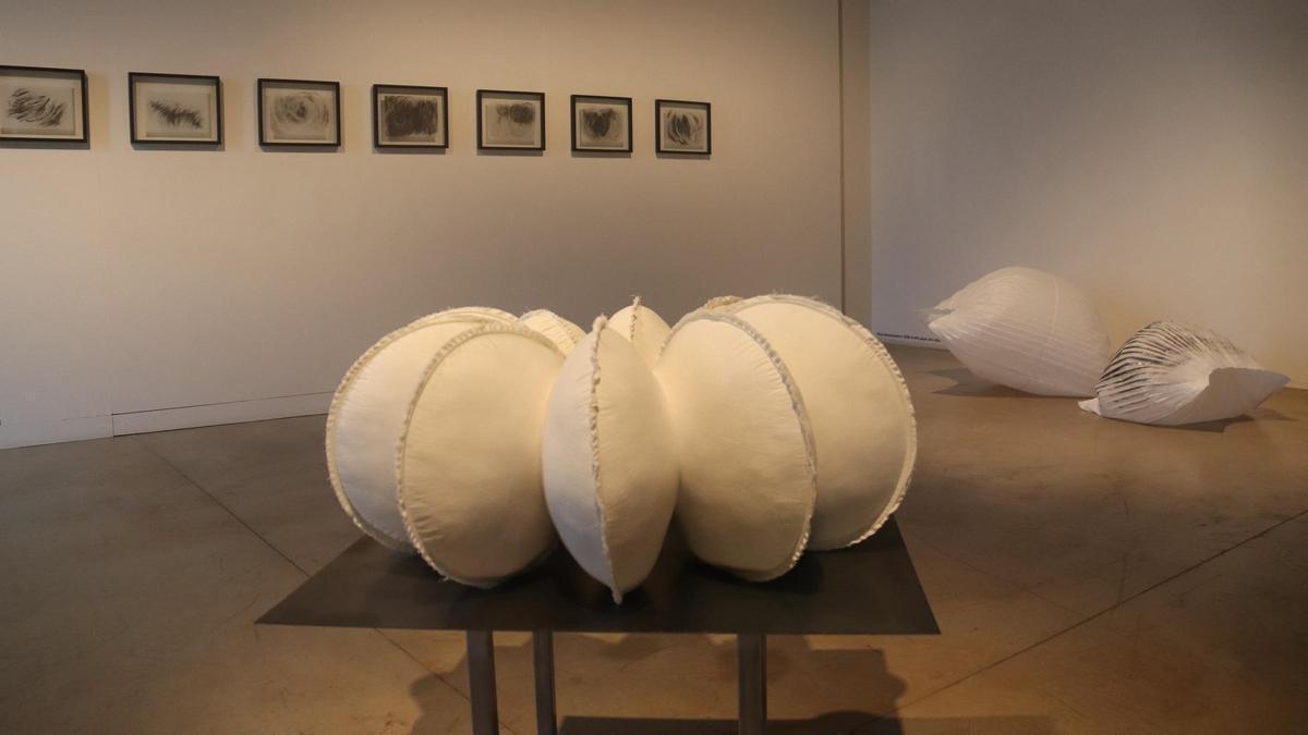 Algunes de les escultures i dibuixos que exposa l'artista Anna Irina Russell al museu Can Mario de Palafrugell.