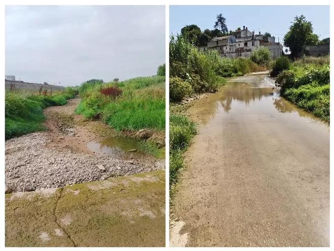 El Magro pierde el caudal ecológico en Algemesí