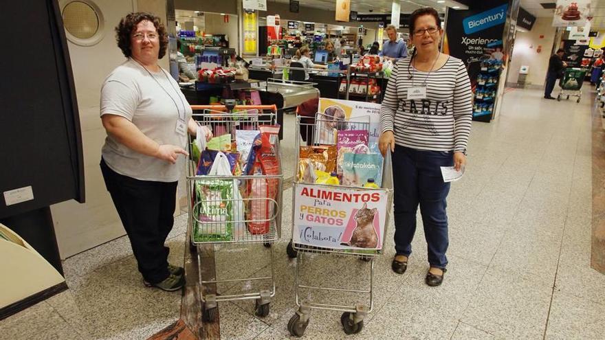 Recogida de pienso para protectoras de animales