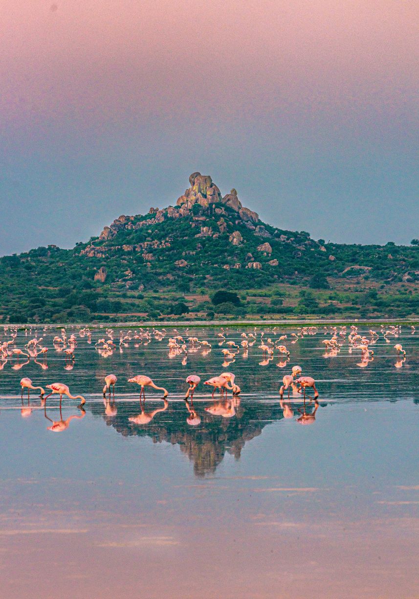 Todo amante de la naturaleza debería ver este lugar.