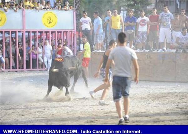 LOS TOROS ASEGURAN LA DIVERSIÓN EN LAS FIESTAS DE SANT PERE