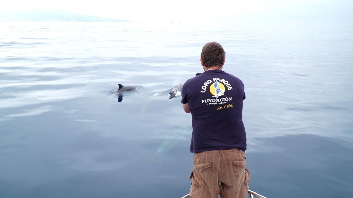 Un momento del estudio.