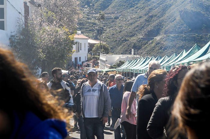 FIESTAS DEL ALMENDRO EN FLOR TEJEDA