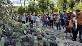 Flora 2025 lanza la quinta edición de Patio Talento para artistas noveles