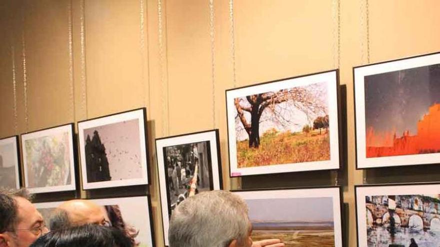 Exposición fotográfica Espigas