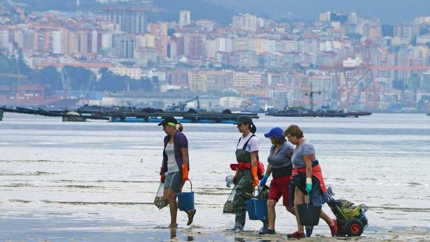 Unas mariscadoras caminan por la playa de A Xunqueira, en Moaña, en una fotografía de archivo. // Gonzalo Núñez