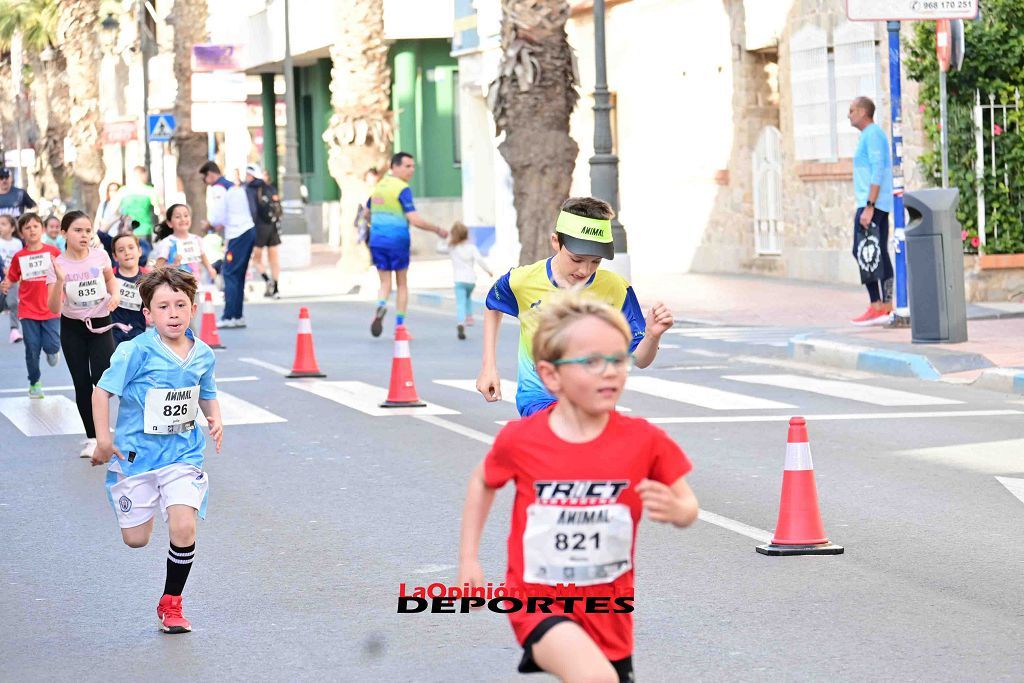 Carrera 5k Animal en Los Alcázares 2024 (I)