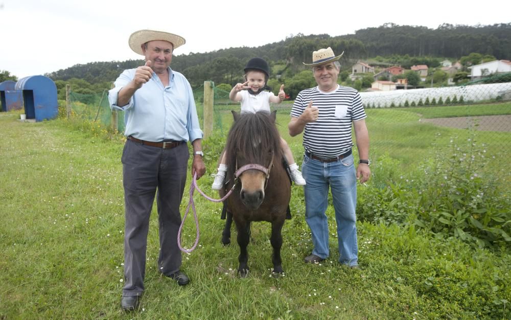 I Festa Labrega de Orro