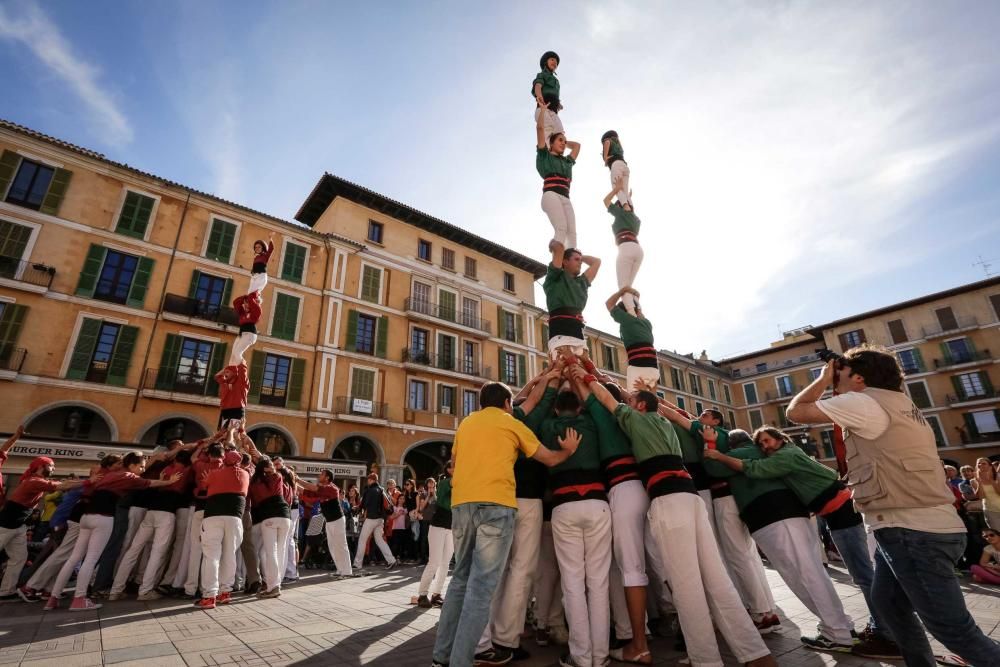 Diada per la Llengua