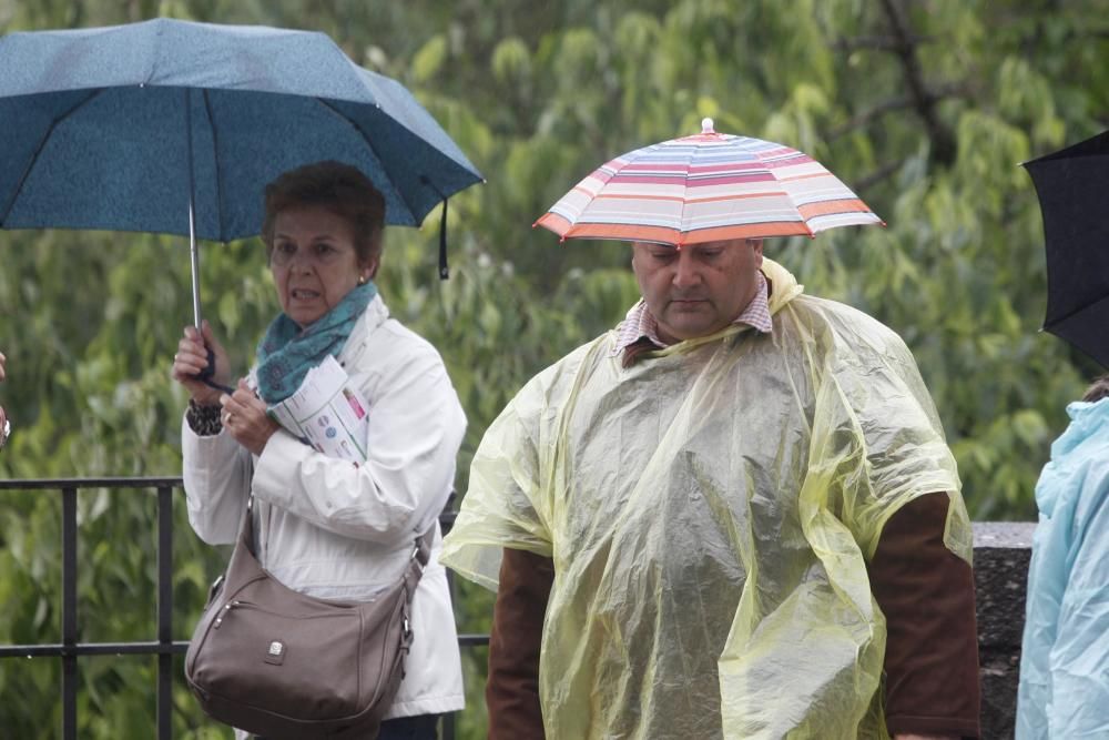 La pluja no desanima l'afluència de públic a «Temps de Flors»