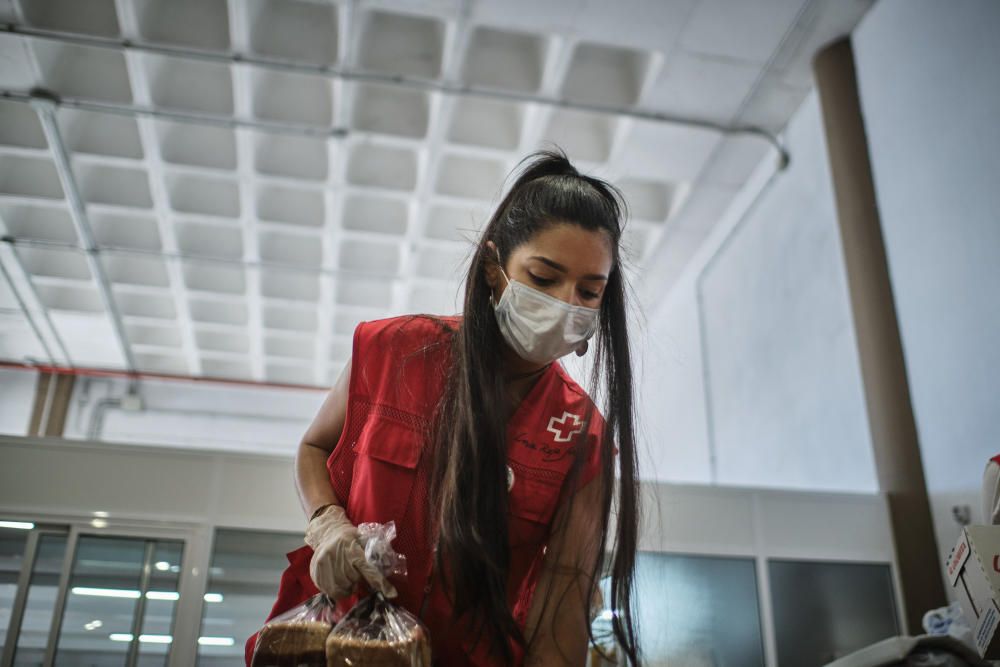 Proyecto Promoción de Éxito Escolar de Cruz Roja