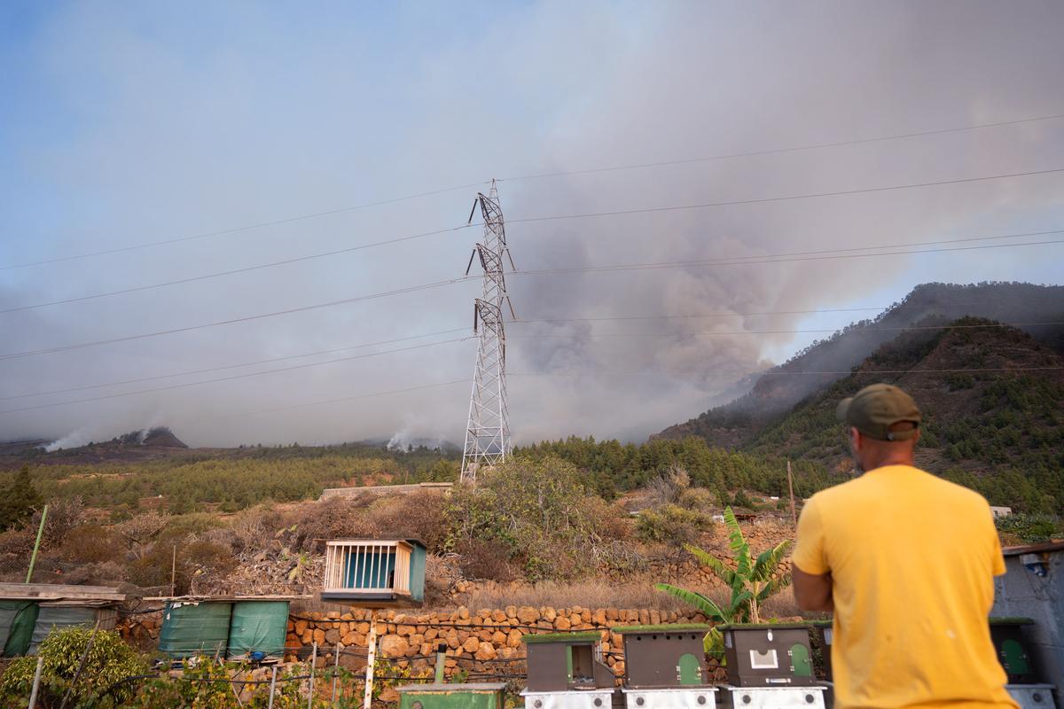 Un incendio forestal en Tenerife obliga a evacuar varias zonas