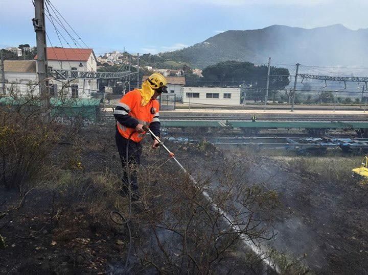 Incendi forestal a Llançà