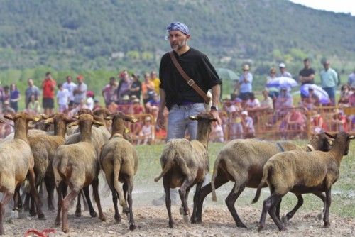 La Valleta de Agres ha sido un año más el escenario del Concurs de Gossos de Ramat