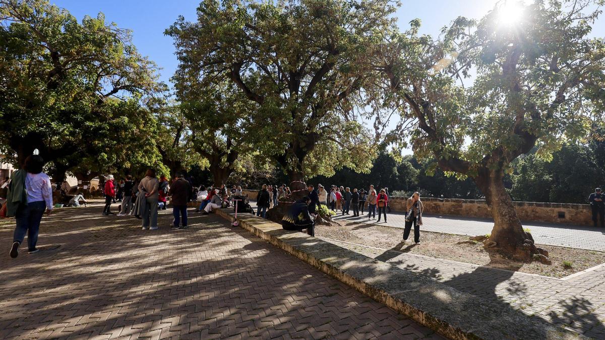 Cort justifica que los Bellasombra presentan riesgo de caída.